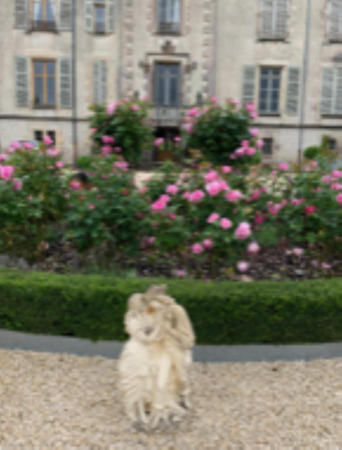 Chateau Pont Jarno B&B Champdeniers Exterior foto