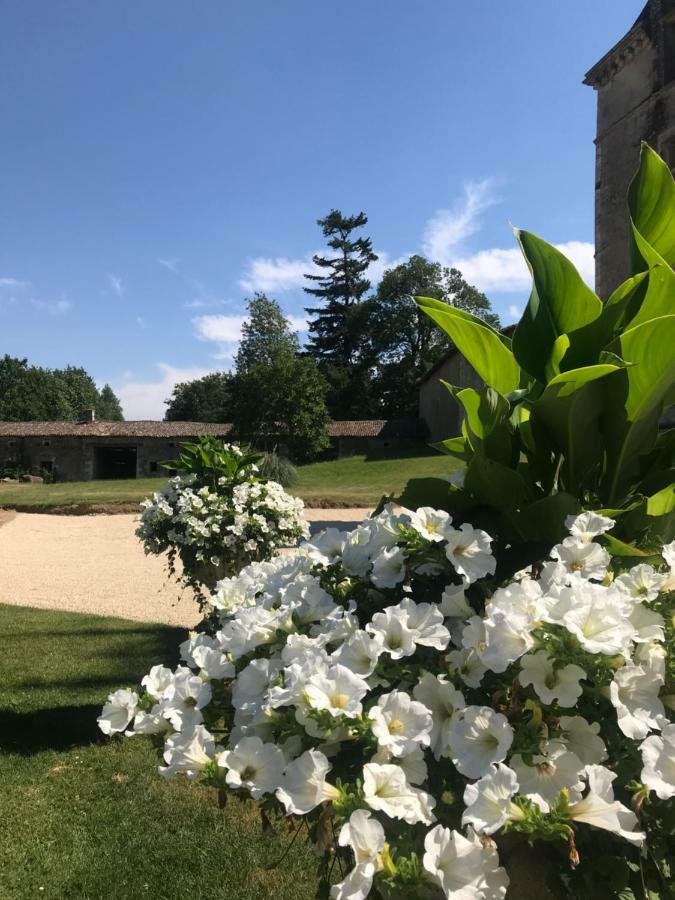 Chateau Pont Jarno B&B Champdeniers Exterior foto